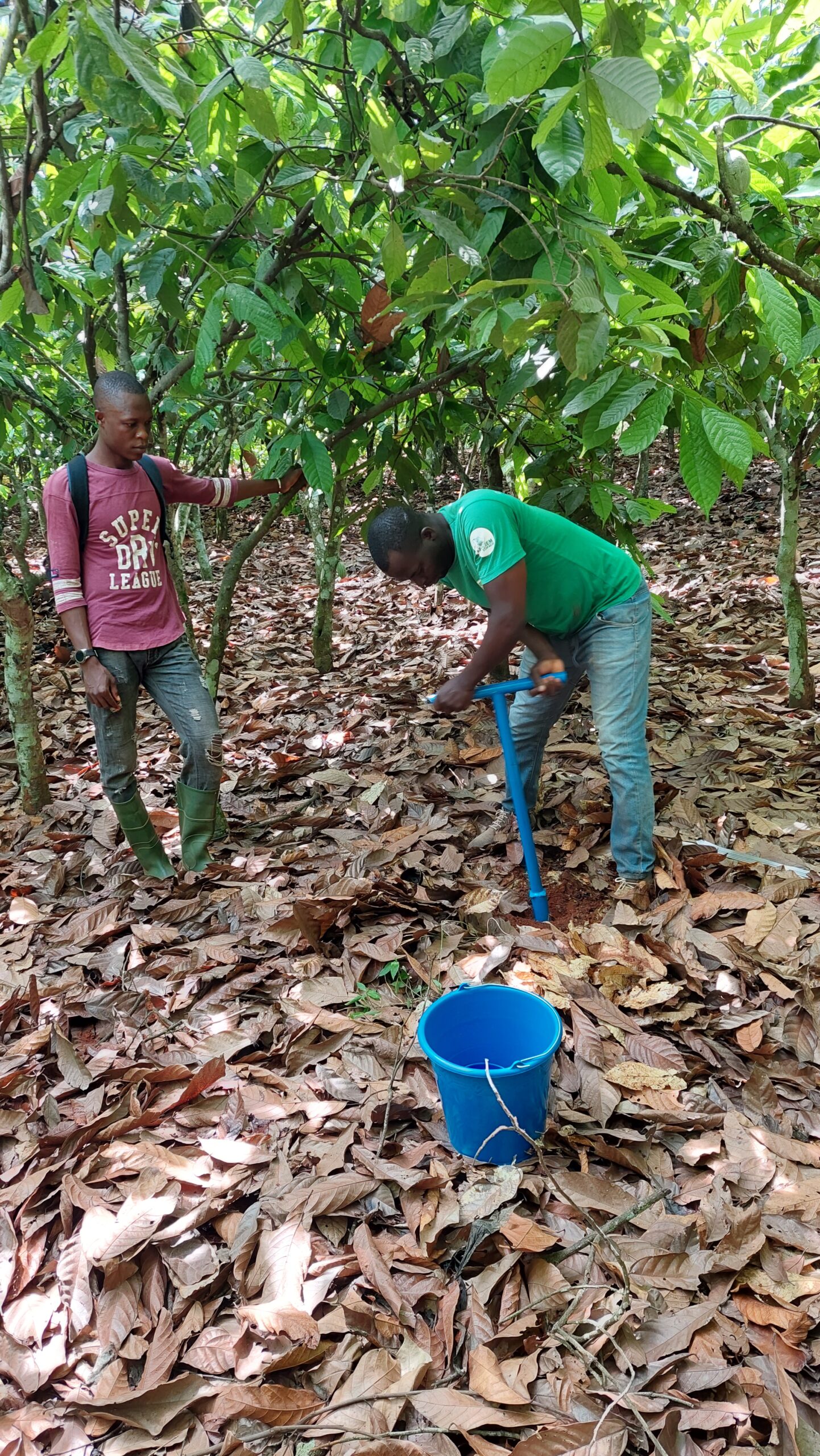 Activité de prélèvement de sol pour une analyse en vue de fournir les intrants adaptés