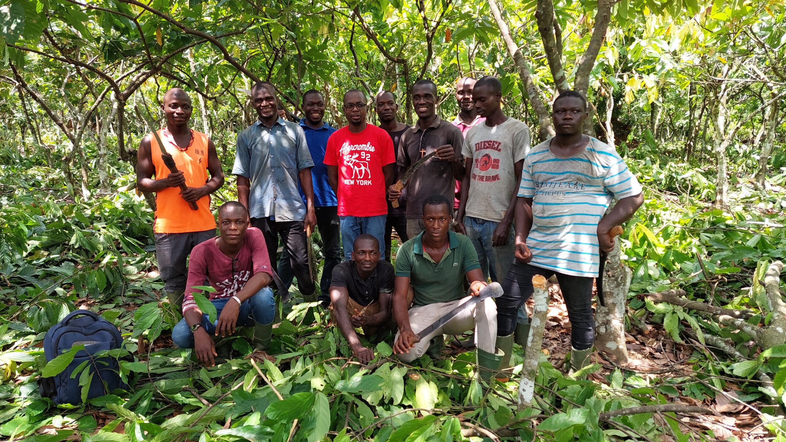 Visite des plantations de nos producteurs de cacao