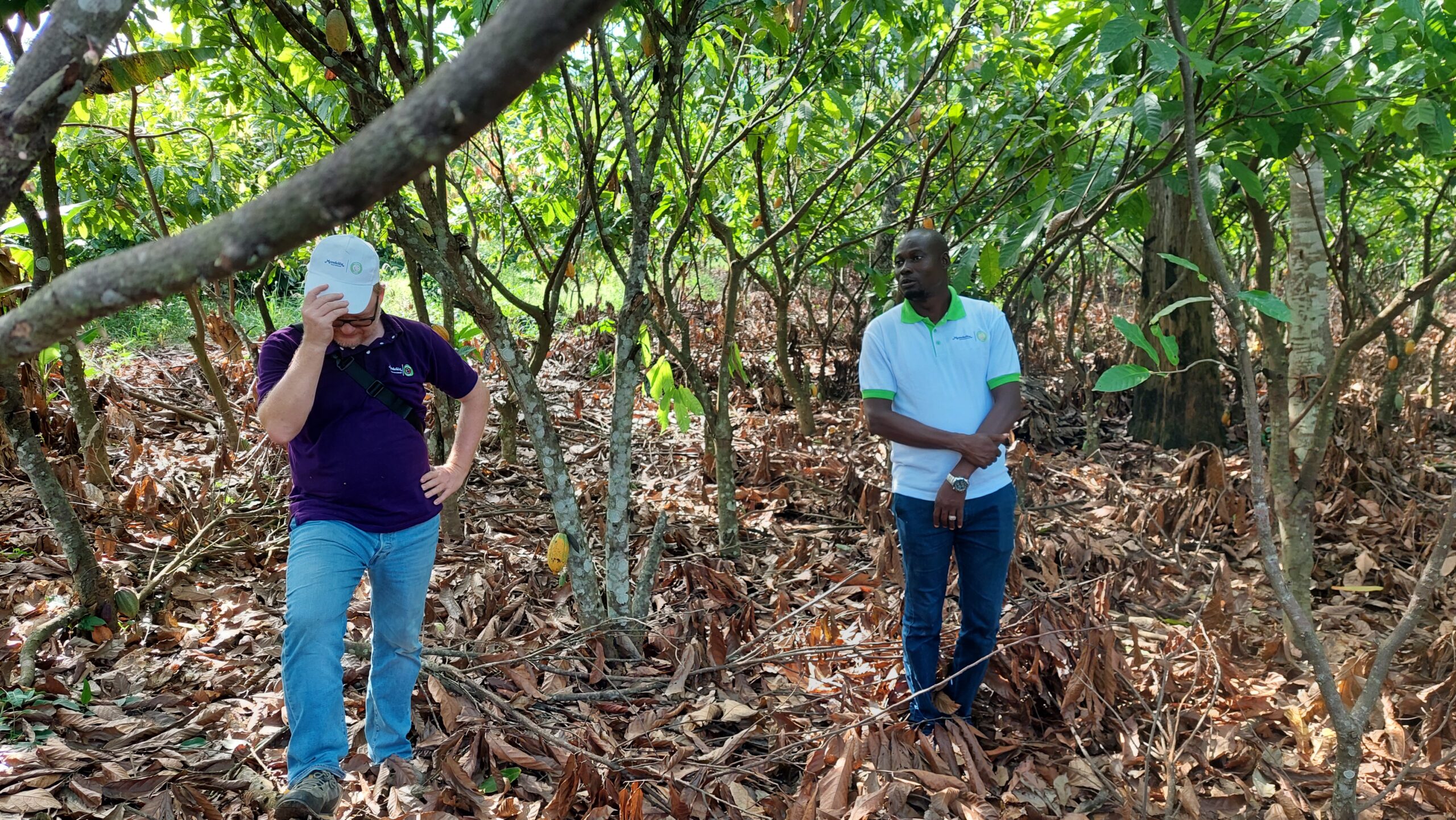 Visite de terrain du chocolatier Mondelez dans le cadre du projet T_GAP