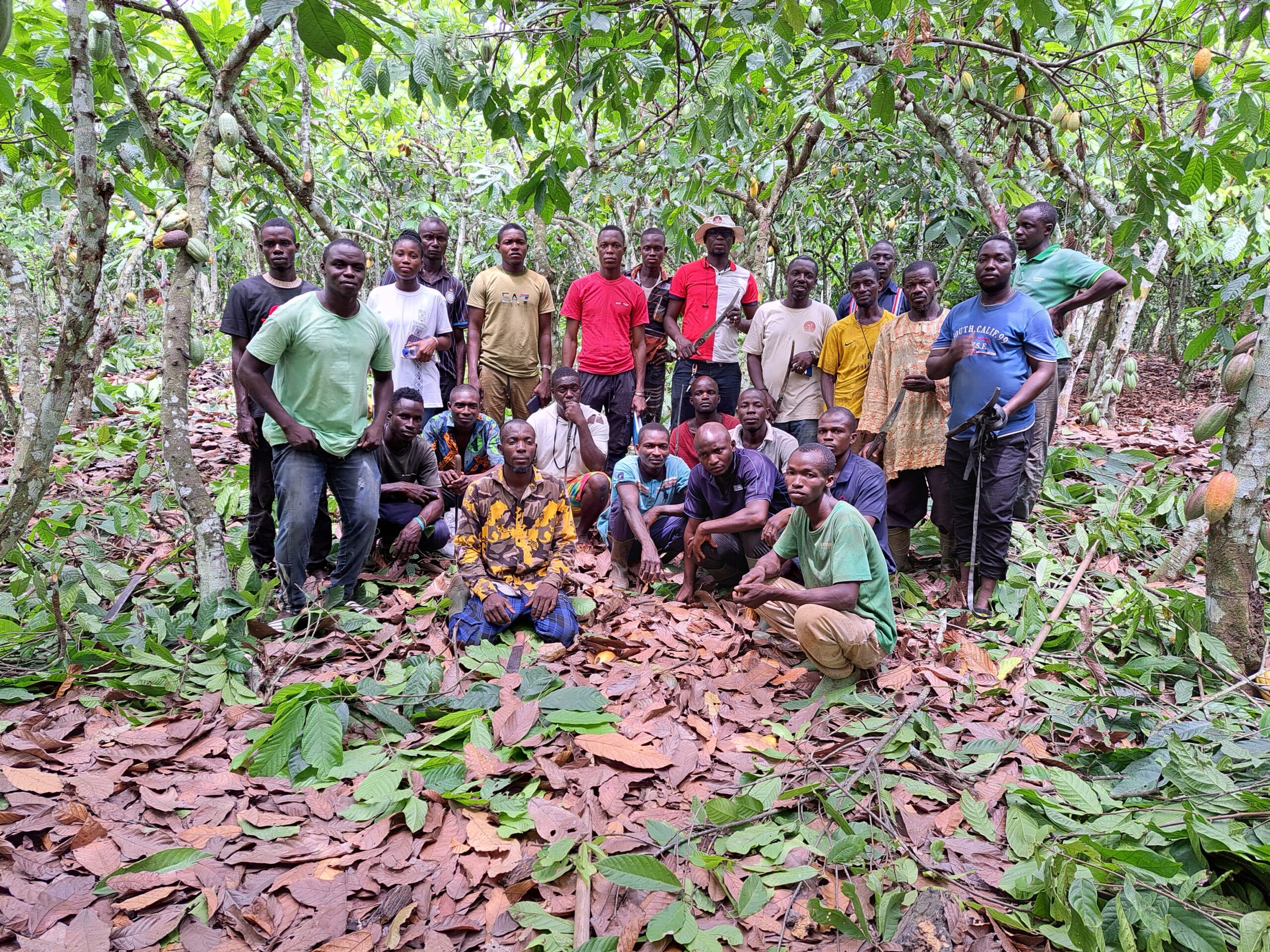 Visite terrain dans les plantations de nos producteurs de cacao